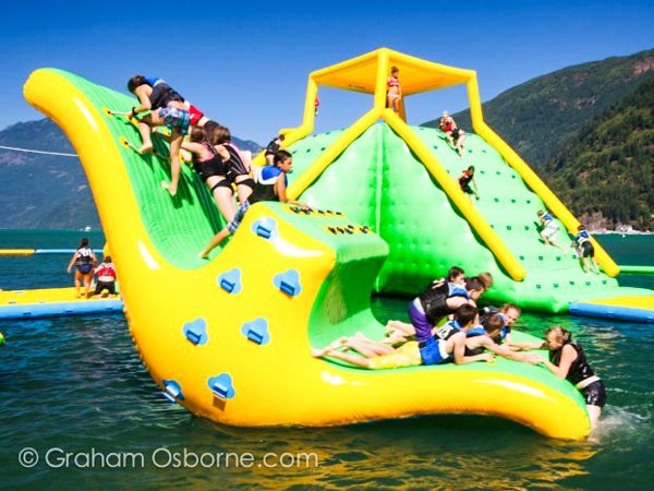 Bouncia  Array image44