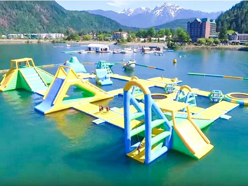 Bouncia  Array image718