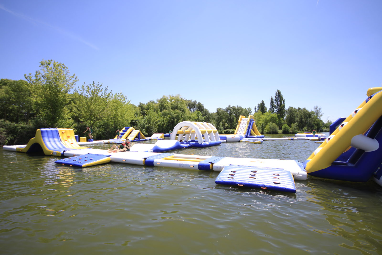 Bouncia  Array image543