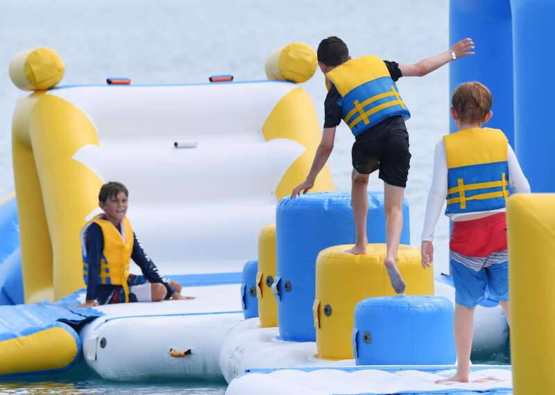 Bouncia  Array image313